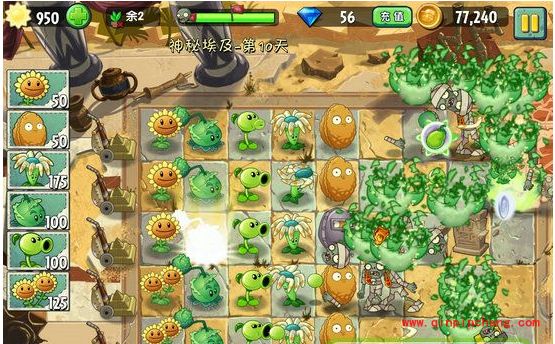 植物大战僵尸2植物对比分析：豌豆射手与卷心菜