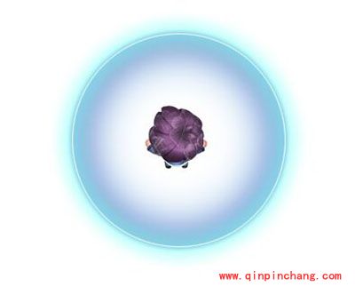 宫爆老奶奶2小少爷专属技能时间凝滞解析