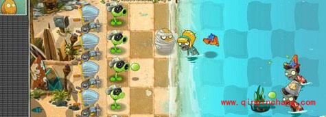 植物大战僵尸2海滩世界第五天通关攻略