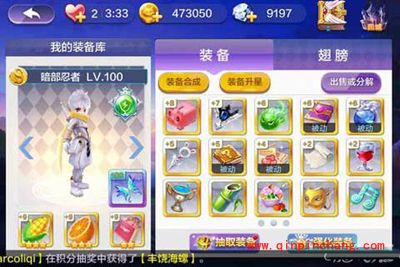 天天风之旅玩家爱满级历程截图分享