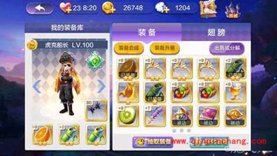 天天风之旅新角色虎克船长满级装备账单