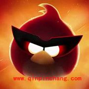 愤怒的小鸟太空版新增6大角色的详解