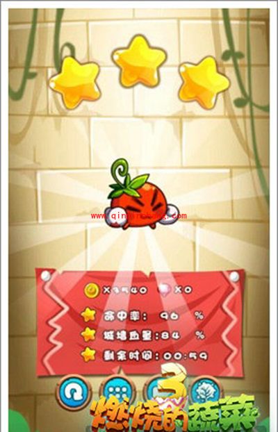 燃烧的蔬菜3 2-36附属蔬菜发威三星通关