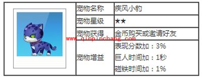 天天酷跑宠物疾风小豹技能介绍