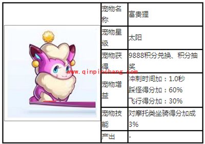 天天酷跑太阳级宠物富贵狸图鉴