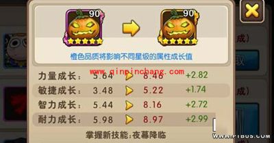 我叫MT2南瓜骑士的阵容搭配攻略