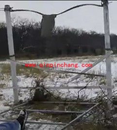 愤怒的小鸟真人版制作全攻略