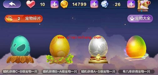 天天风之旅S级宠物抽奖技巧分享