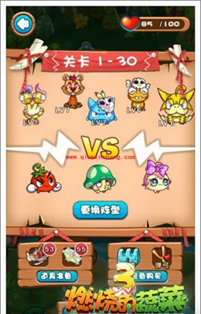 燃烧的蔬菜3 1-30一成不变的BOSS三星通关