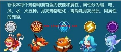 全民飞机大战宠物选择攻略大全