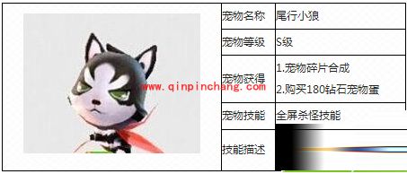 天天风之旅土豪卷纸PK尾行小狼