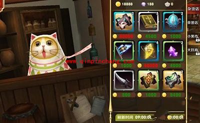 天天传奇新手攻略:商店必买物品一览