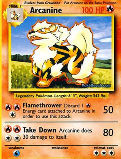 口袋妖怪攻略之怪风速狗