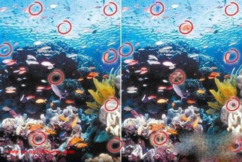 找你妹夫图文答案大全