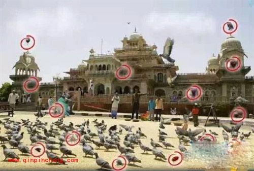 找你妹夫图文答案大全