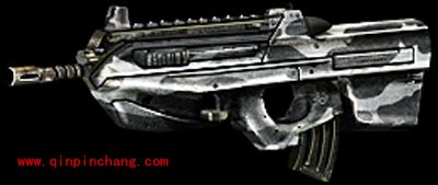 全民枪战枪械图鉴之步枪F2000