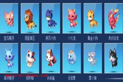 天天酷跑中各种宠物的作用揭秘