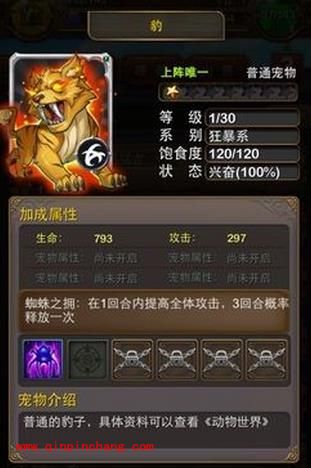 我叫mt的那些宠物大盘点