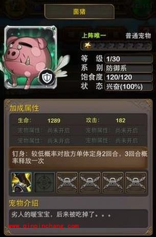 我叫mt的那些宠物大盘点