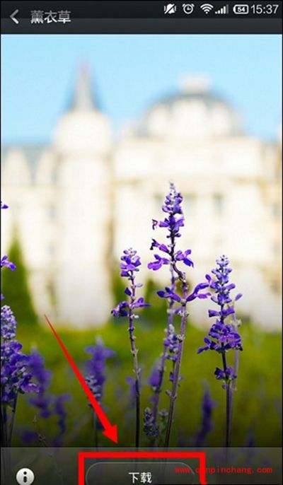 小米4C壁纸设置图文教程