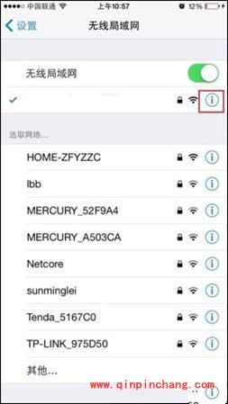 iPhone6设置DNS的方法
