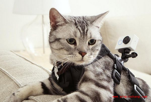 小蚁运动相机小型评测