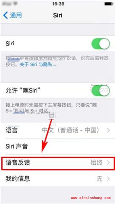 iPhone6S静音时siri也调成静音的方法