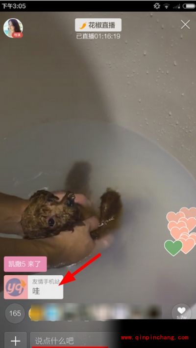 花椒直播弹幕怎么发？花椒直播发弹幕的方法