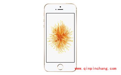 iPhoneSE被远程锁定怎么办