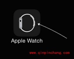 手机QQ显示Apple Watch在线的图文教程
