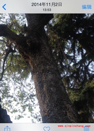 iphone照片旋转的方法