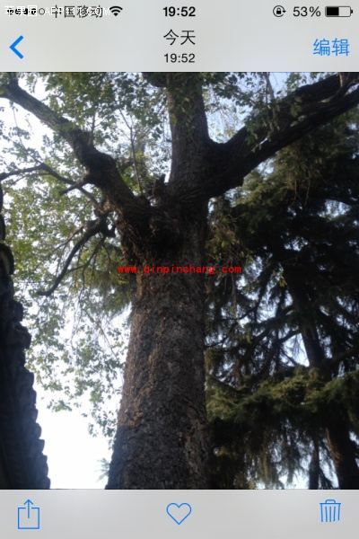 iPhone 6如何才能显示更大缩略图