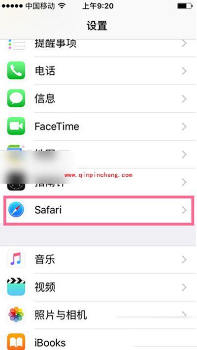 iPhone SE浏览器密码删除方法