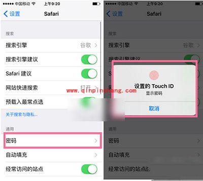 iPhone SE浏览器密码删除方法