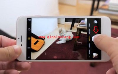 (图)iPhone 6s的Live Photos功能怎么使用?