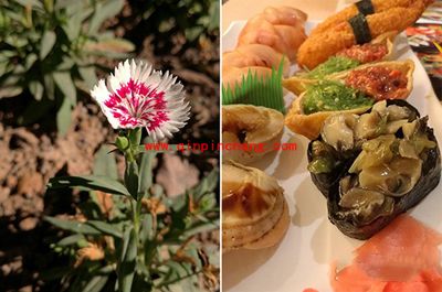 华为Mate8拍照效果怎么样？