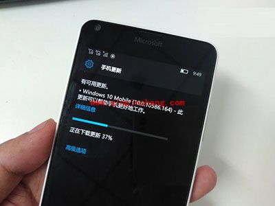 WP8.1手机升级Win10移动版正式版之前必须知道的7个问题