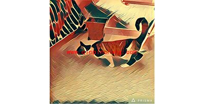 Prisma是什么?Prisma玩法介绍