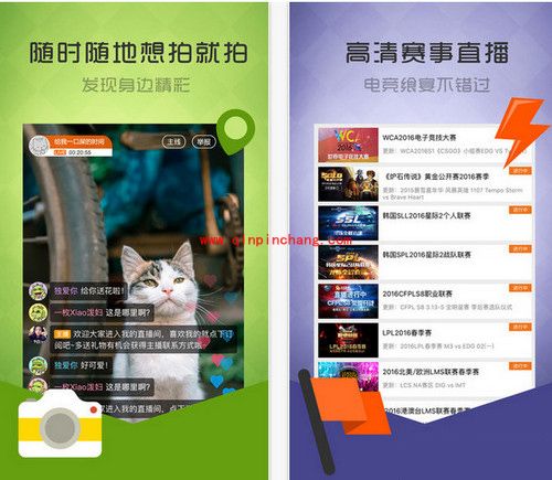 龙珠直播摇一摇活动介绍