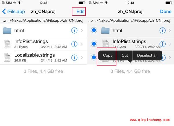iOS8破###解插件iFile汉化教程