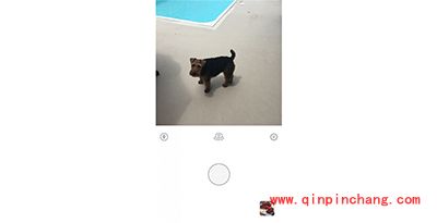 Prisma怎么保存图片？