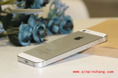 揭秘iPhone5S能兼容的视频格式