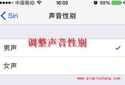 iPhone6更改siri声音性别的技巧