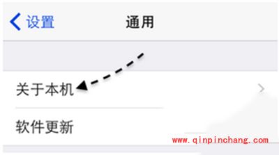 iphone6s怎么查序列号