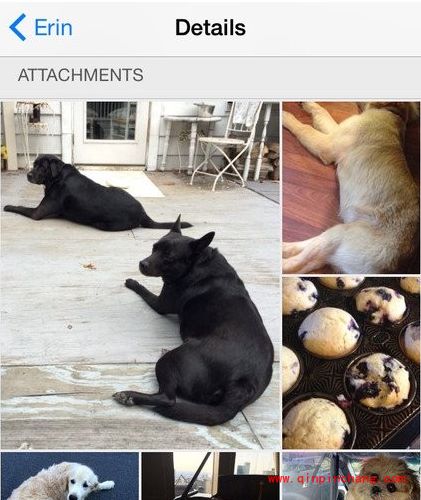 必须知道!iOS8正式版10个尚未人知的实用技巧