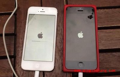 iPhone白苹果怎么办？