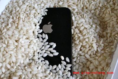 iPhone6进水了怎么办