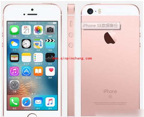 iPhone SE用itunes备份图文教程