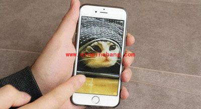 无需要破###解！LiveMaker让你的老设备也能拥有Live Photos功能