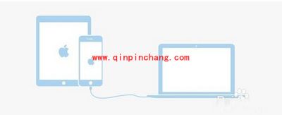 苹果手机连接电脑没反应该怎么办?